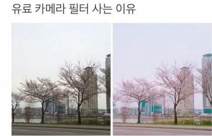 공감100%꼭있는 프사유형 | 인스티즈