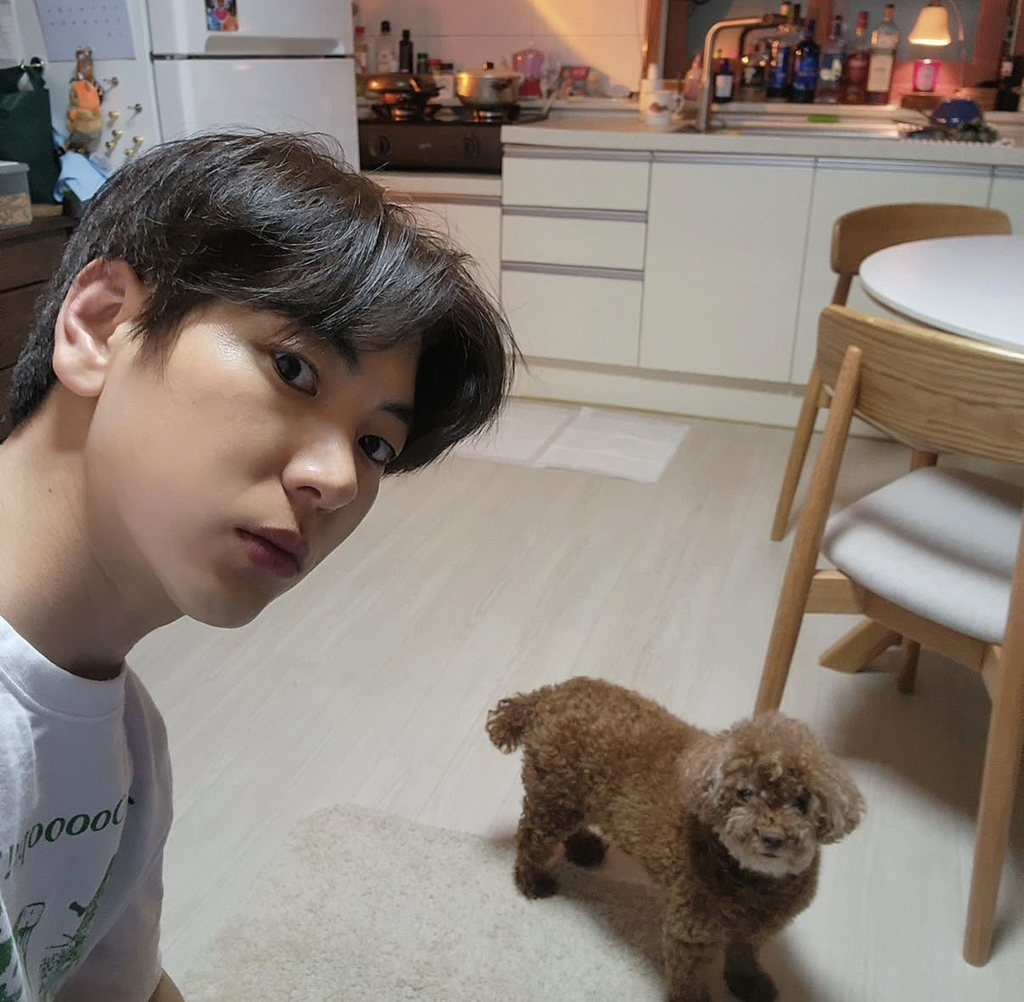 강아지별에서 만날 꽃분이와 코코 | 인스티즈