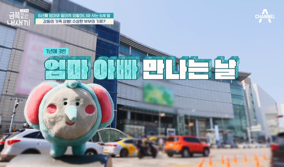1년에 3번 엄마아빠를 만난다는 금쪽이가 시골집으로 돌아왔을때 한 행동 | 인스티즈