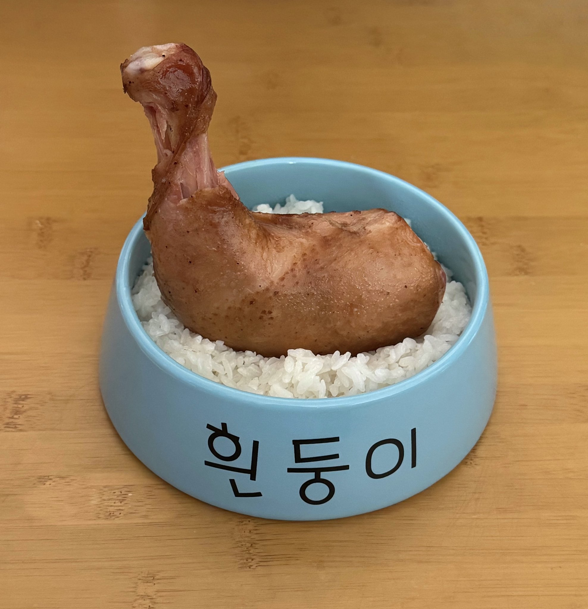 흰둥이 밥그릇에 밥먹는 사람 | 인스티즈