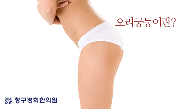 발레 좋아하는 게녀들, 상식은 아니지만 알아두면 좋은것! | 인스티즈
