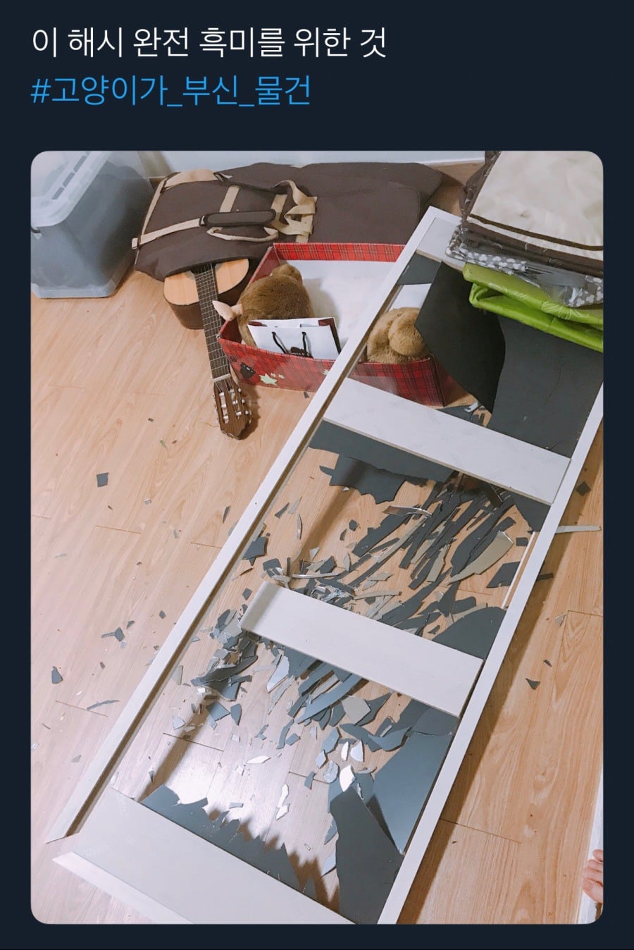 귀엽지 않았으면 멸종당했을 생물.jpg | 인스티즈