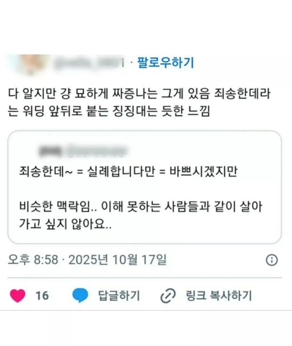 요즘 sns에서 논란중인 죄송한데 | 인스티즈