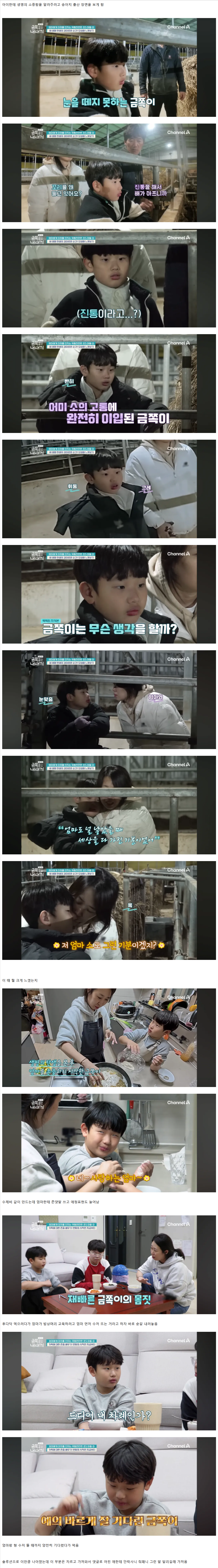 오은영이 최초로 미래 범죄자될 가능성까지 언급한 금쪽이 솔루션 후 | 인스티즈