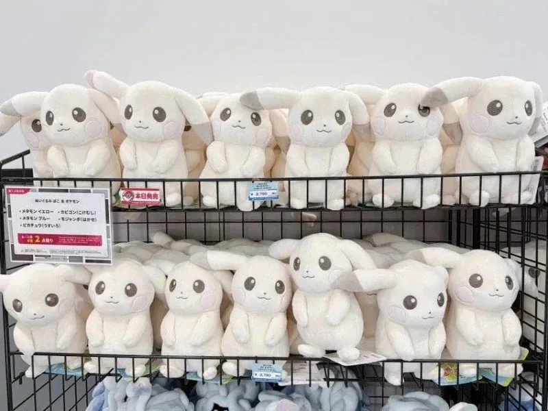 슬슬 준비 시작하는 포켓몬 굿즈들 | 인스티즈