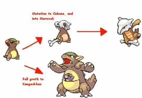  탕구리의 부모는 캥카가 거의 확실 | 인스티즈