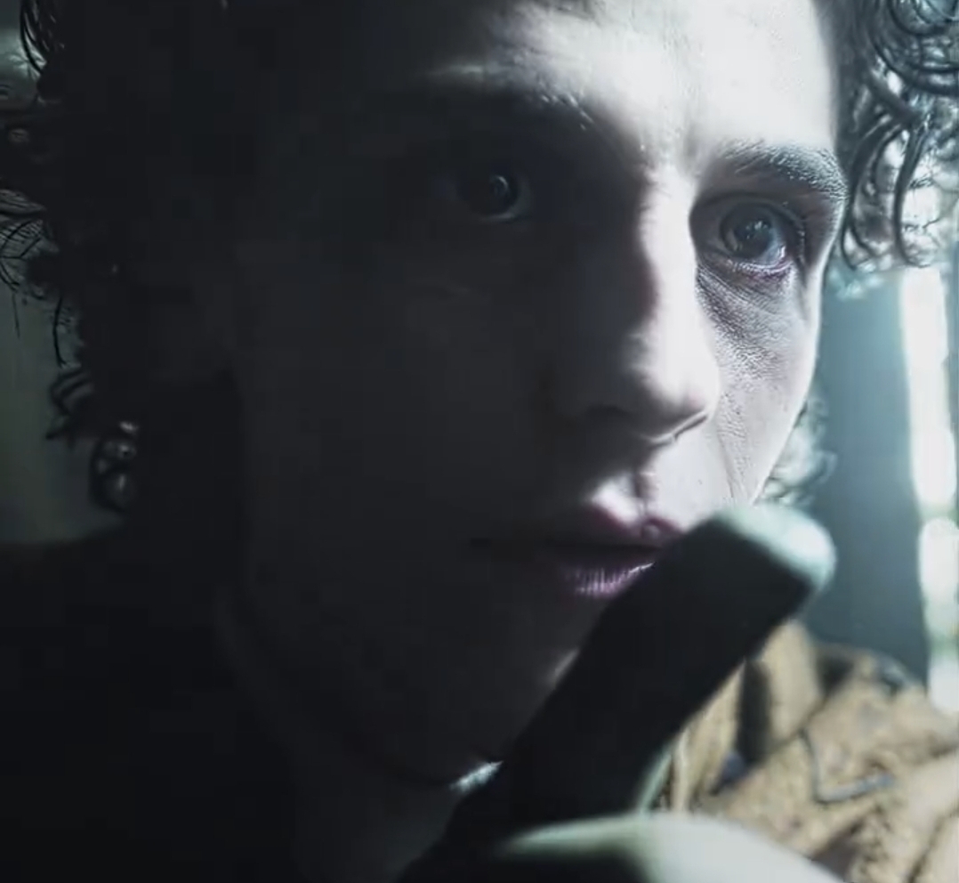 팀버튼이 보고 박수쳤을 상이라는 '웬즈데이' 출연배우 | 인스티즈