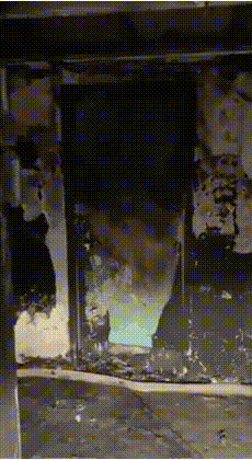 방화문의 중요성.gif | 인스티즈