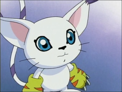 [애니] 고양이 관련 캐릭터 모음.jpg | 인스티즈