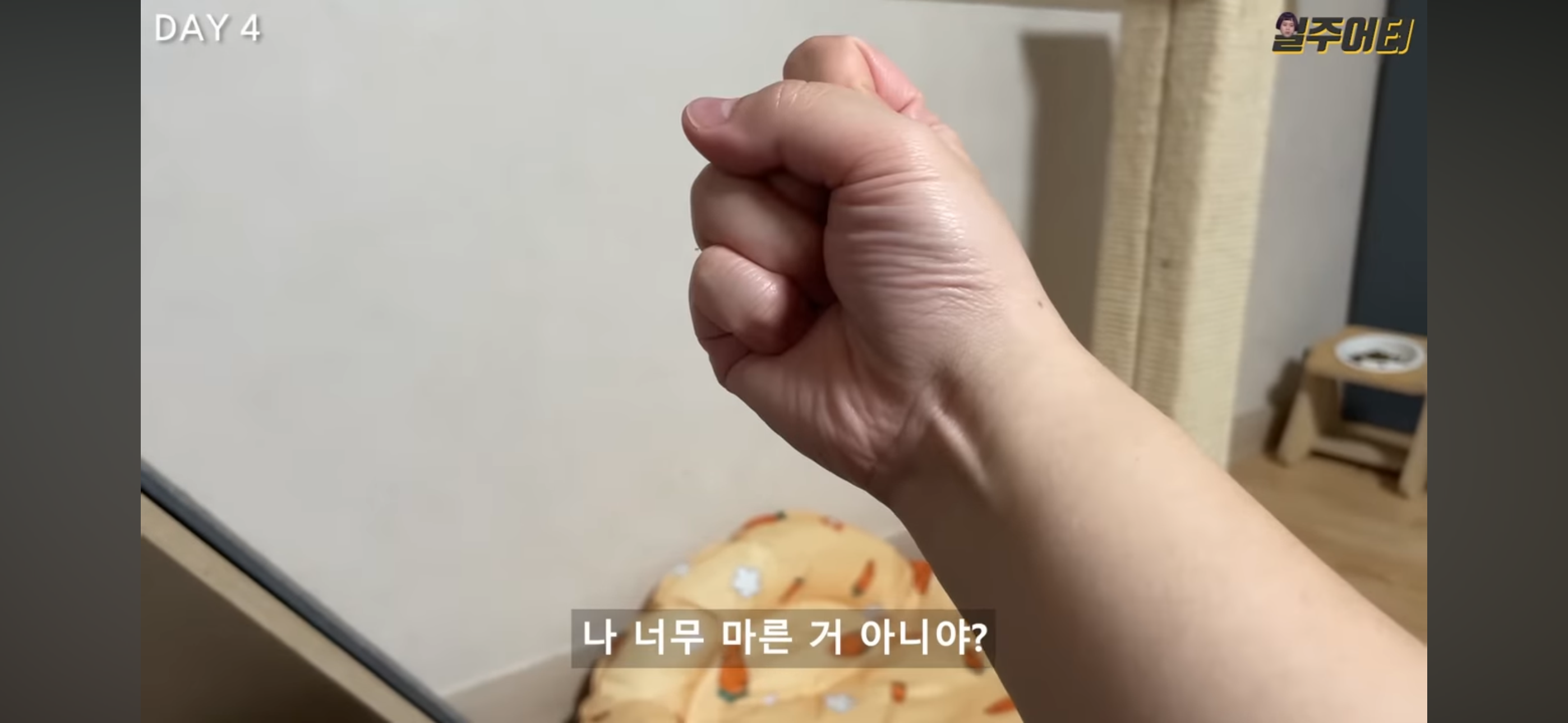 그릭요거트 다이어트 했었던 일주어터 | 인스티즈