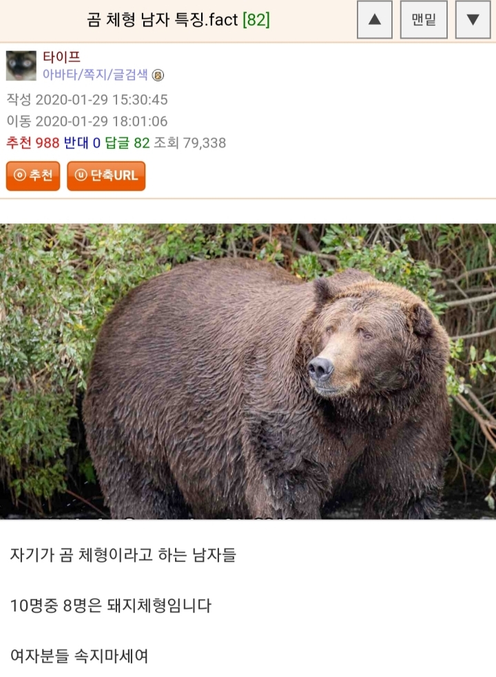 곰 체형 남자 특징.fact | 인스티즈