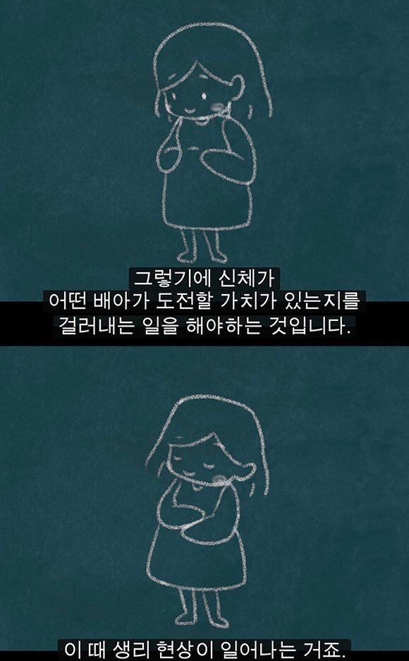생리는 결코 오지 않는 정자를 기다리다 아기집을 허무는 과정이 아니다 | 인스티즈