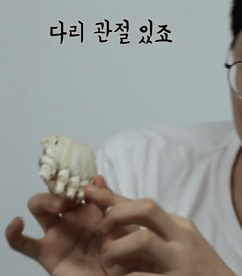 꽃게 살 완벽하게 발라먹는 방법.jpgif | 인스티즈