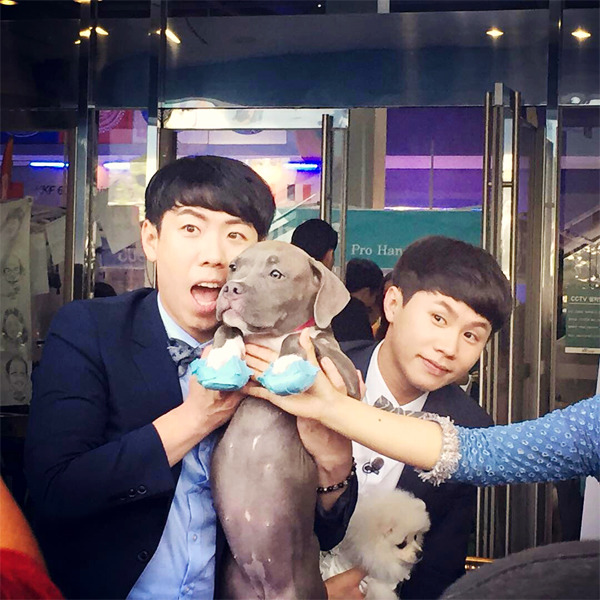 형제라고 어렵게 밝혔는데도 뻥치치 말라며 비난받은 연예인 형제.jpg | 인스티즈