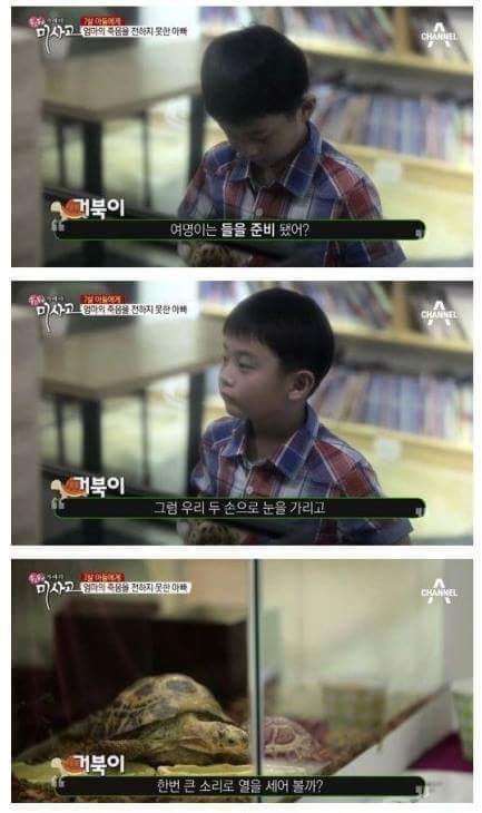 (눈물주의) 엄마의 죽음을 받아들이는 아이 (슬픔주의) | 인스티즈