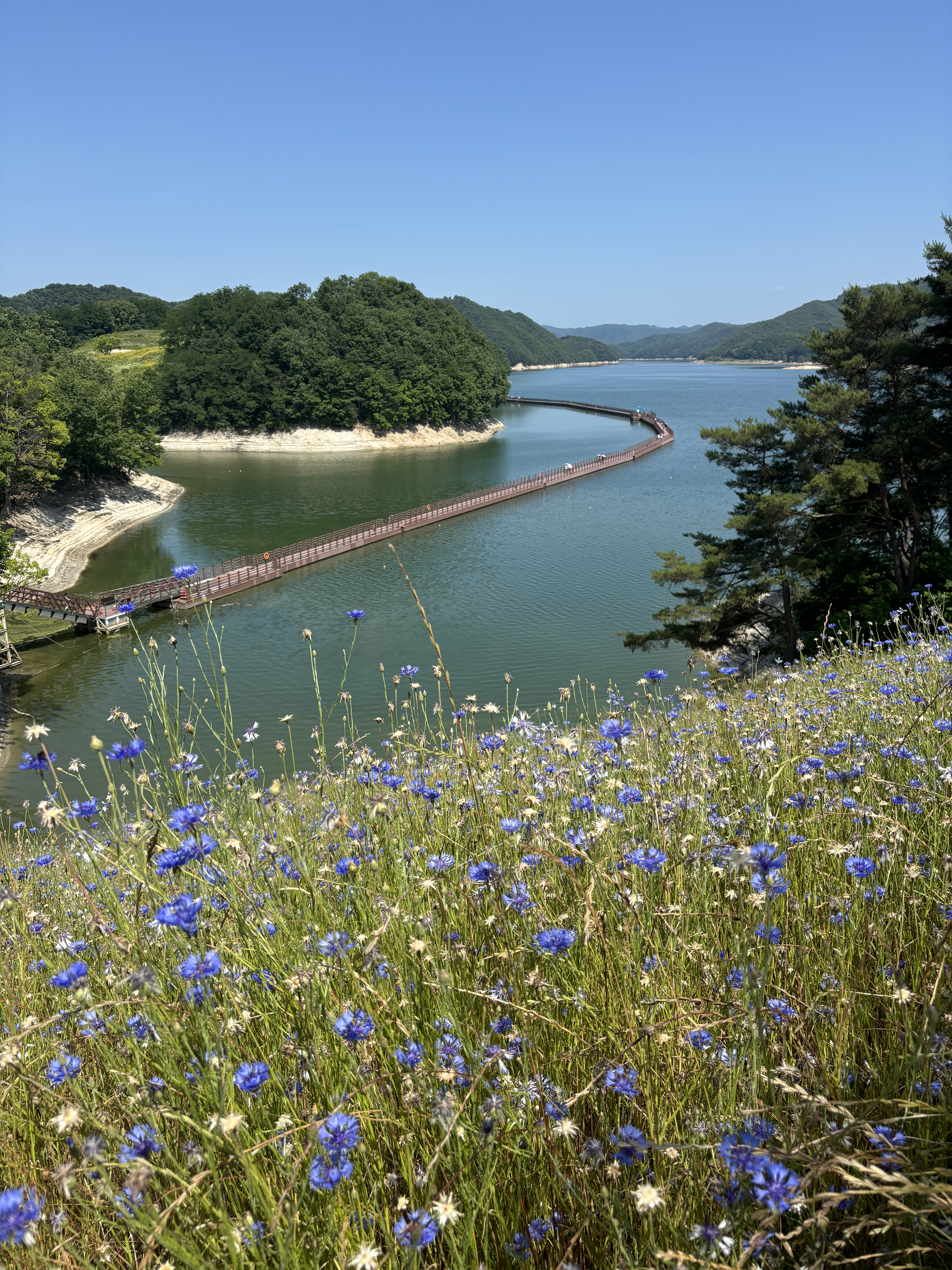 국내에도 멋있는 곳이 많아! 많관부..! 3탄 | 인스티즈