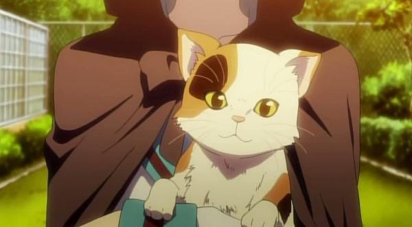 [애니] 고양이 관련 캐릭터 모음.jpg | 인스티즈