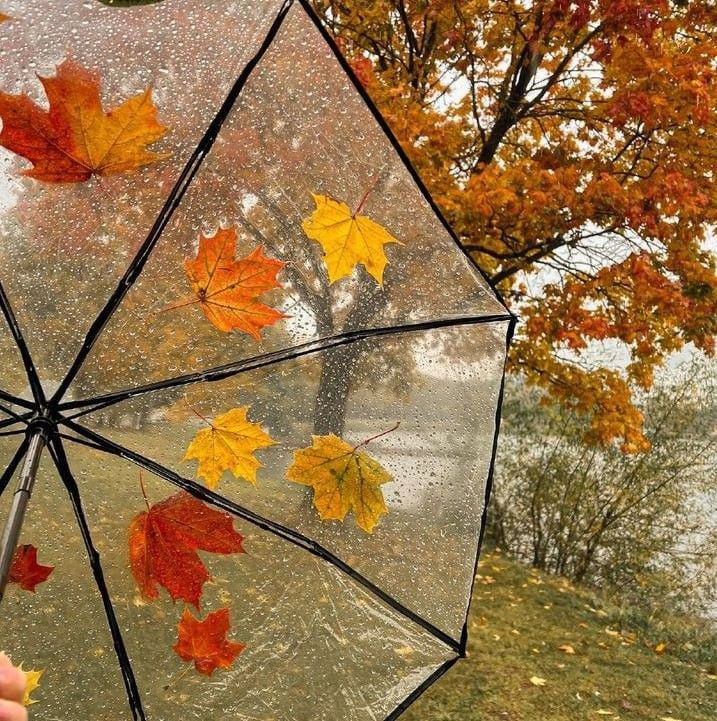 🍁 가을만 되면 미국인들이 환장하고 찾는 드라마 🍂🧡 | 인스티즈