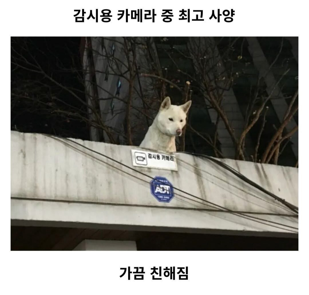 감시용 카메라 중 최고 사양 등장.jpg | 인스티즈