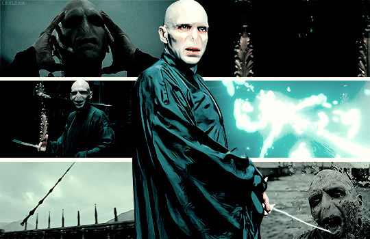 [해리포터] 해리포터의 공식미남 6명 | 인스티즈