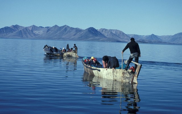 죽기 전에 꼭 먹어봐야 할 괴상한 음식 Top20 | 인스티즈