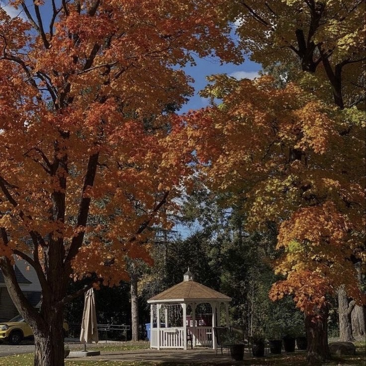 🍁 가을만 되면 미국인들이 환장하고 찾는 드라마 🍂🧡 | 인스티즈
