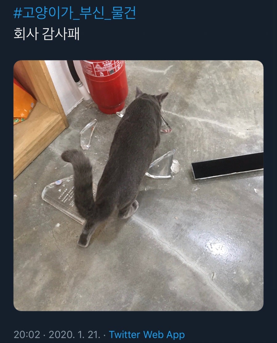 귀엽지 않았으면 멸종당했을 생물.jpg | 인스티즈
