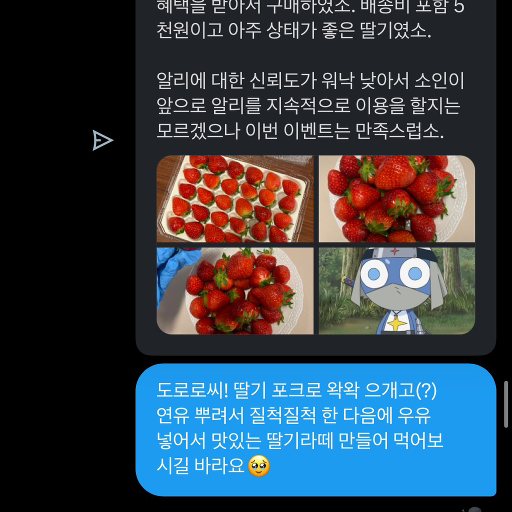 트위터 네임드인 살림하는 도로로랑 나눈 대화인데 방금 답장 받고 울컥함 | 인스티즈