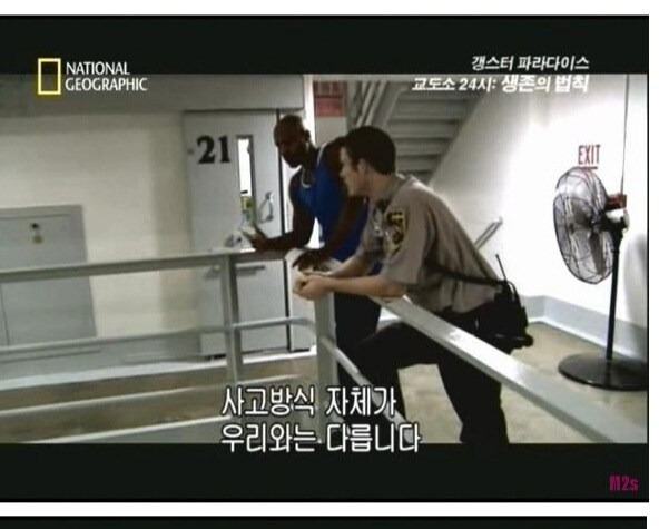 든든하지 않아서 환불받았다는 배달거지…JPG +배달거지 글을 본 당사자 | 인스티즈