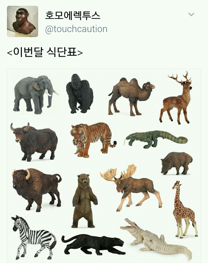 현 시각 트위터 | 인스티즈