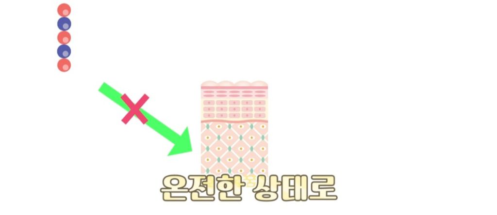 돈 아껴야 되는 피부 영양제 | 인스티즈