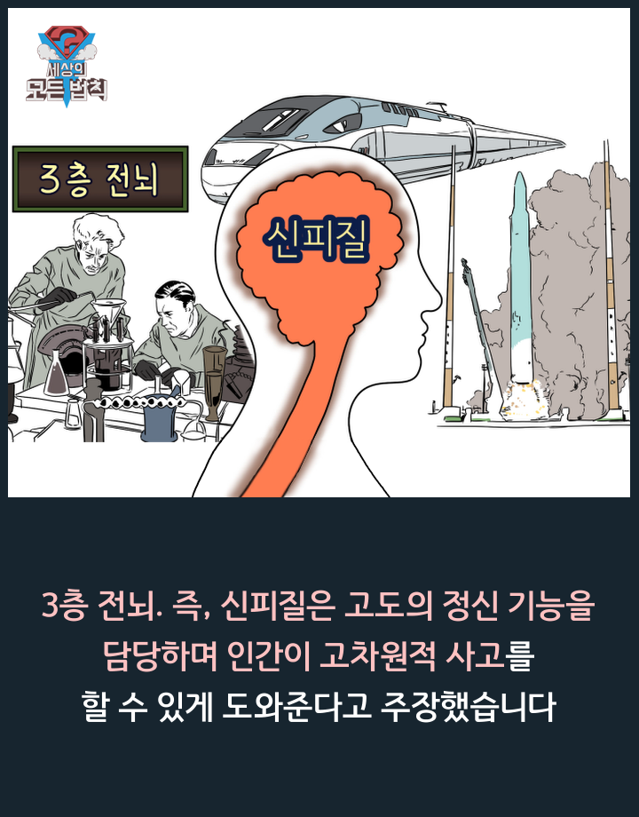 고양이는 하루종일 무슨 생각을 할까? | 인스티즈