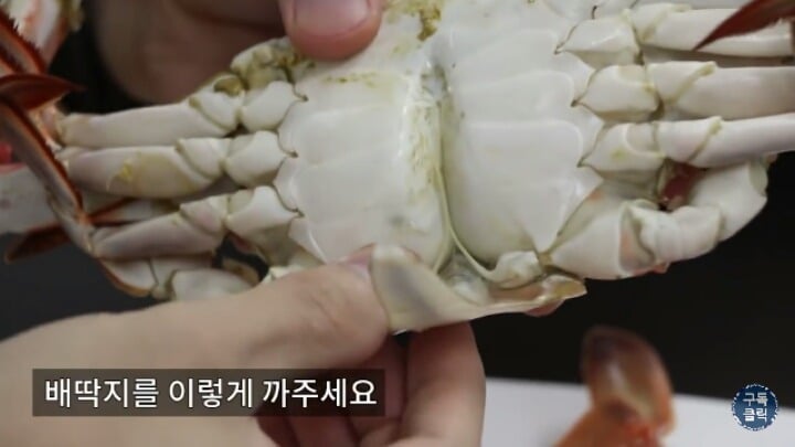 꽃게 살 완벽하게 발라먹는 방법.jpgif | 인스티즈