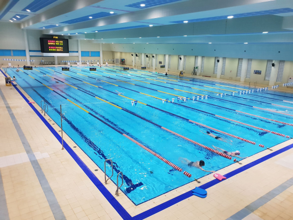 이 이유로 필라테스 안하는 사람들 꽤 있음 | 인스티즈