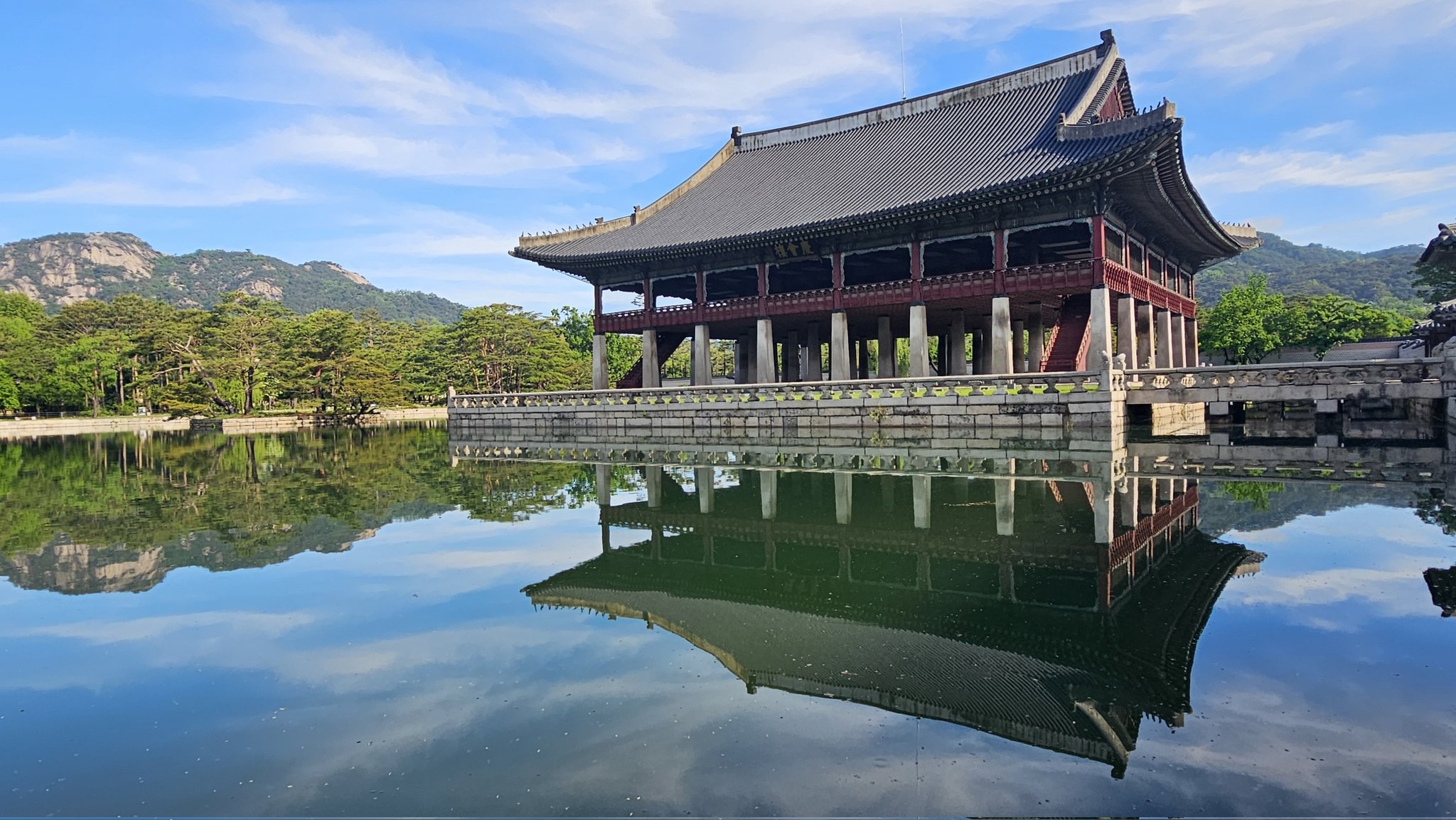 오늘 경복궁 경회루에 나타난 자라🐢 (feat. 길한징조) | 인스티즈