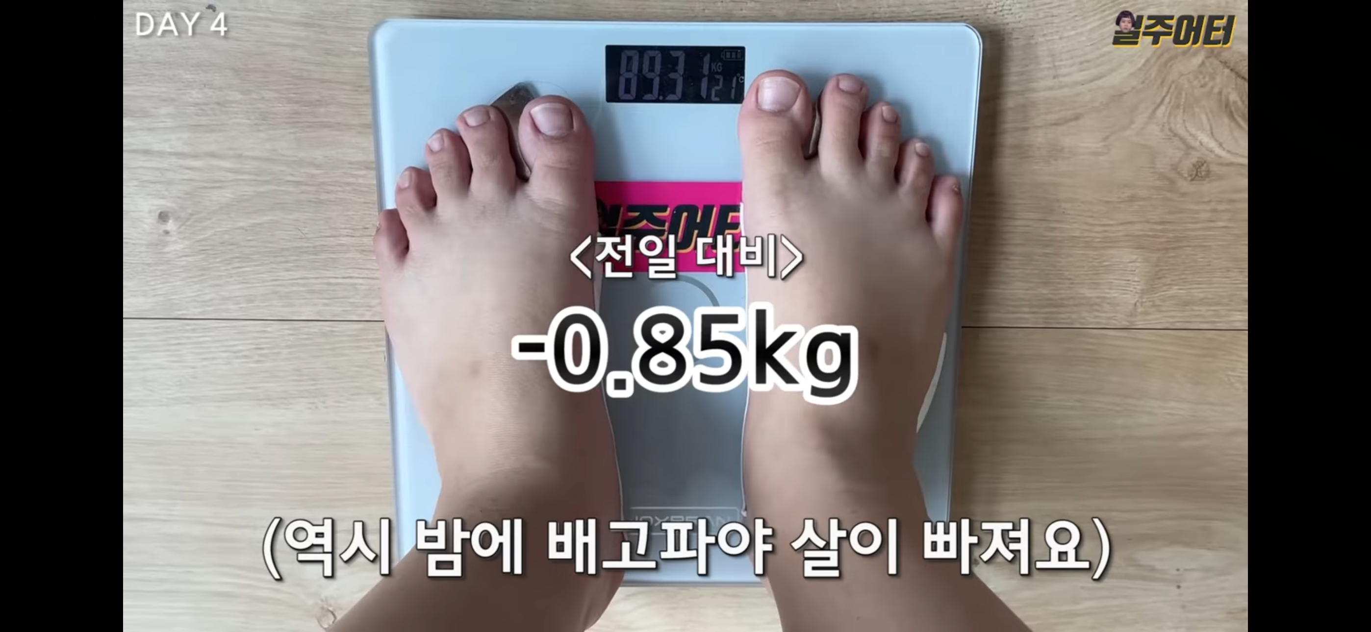 그릭요거트 다이어트 했었던 일주어터 | 인스티즈