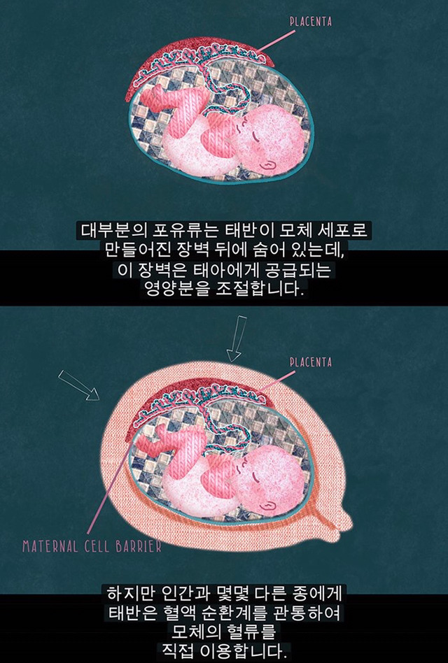 생리는 결코 오지 않는 정자를 기다리다 아기집을 허무는 과정이 아니다 | 인스티즈