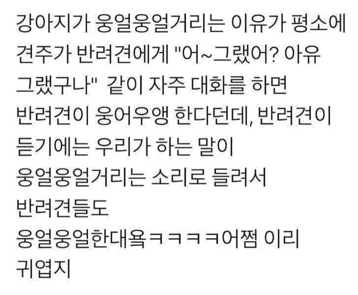 강아지가 웅얼웅얼하는 이유 | 인스티즈