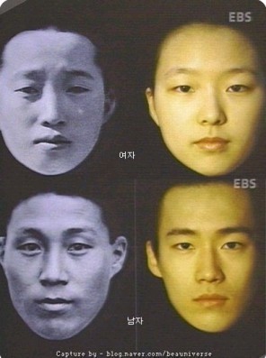 한국 남녀 평균 외모 | 인스티즈