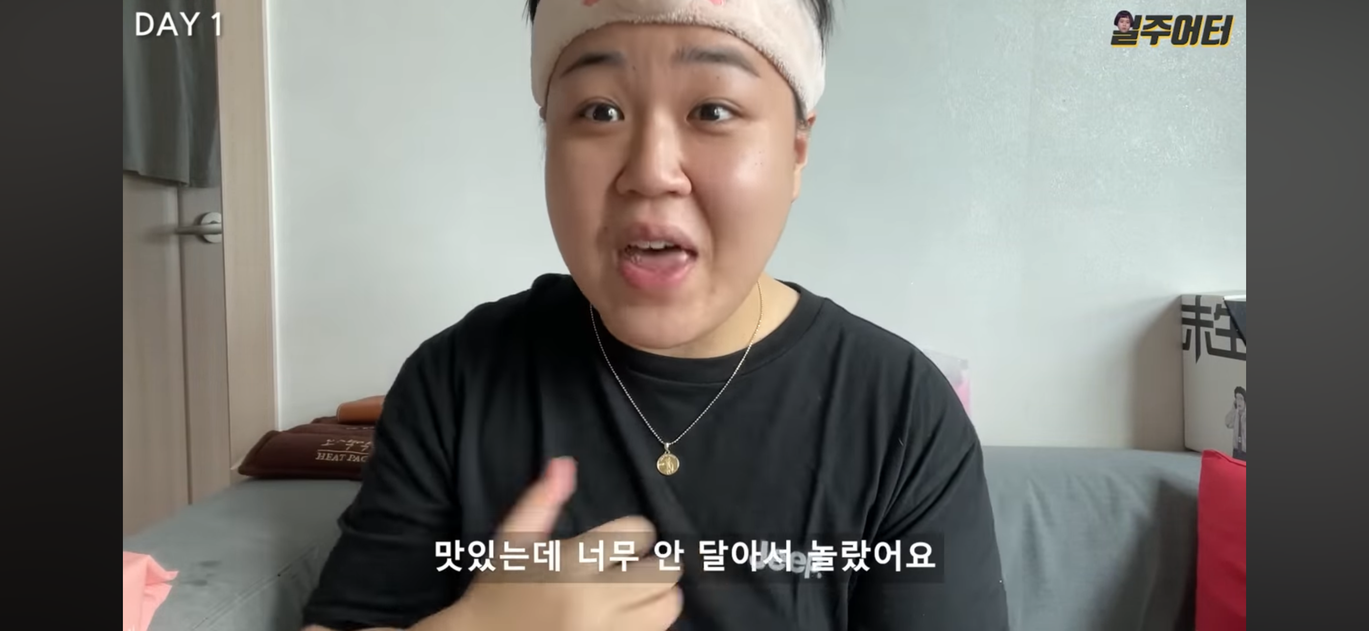 그릭요거트 다이어트 했었던 일주어터 | 인스티즈