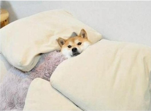 수련회나 mt를 비롯한 단체여행에서 1박 이상할때 은근 신경쓰이는거 | 인스티즈