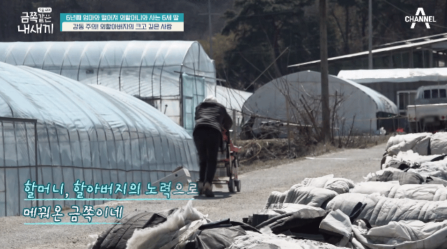 다정함이 전해지던 금쪽이와 할아버지의 산책길 | 인스티즈