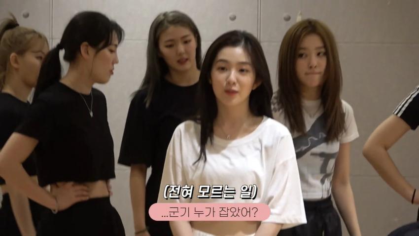 레드벨벳 아이린의 진짜 성격을 볼 수 있는 브이로그 | 인스티즈