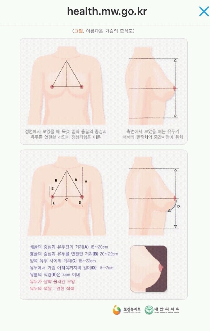 아름다운 가슴의 기준 | 인스티즈