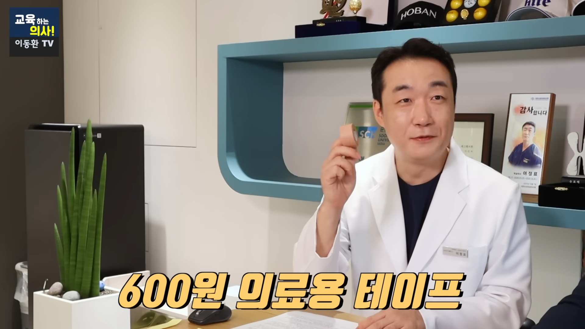 600원으로 족저근막염 해결하는 방법 (신경외과 전문의 정식 추천임, 민간요법x) | 인스티즈