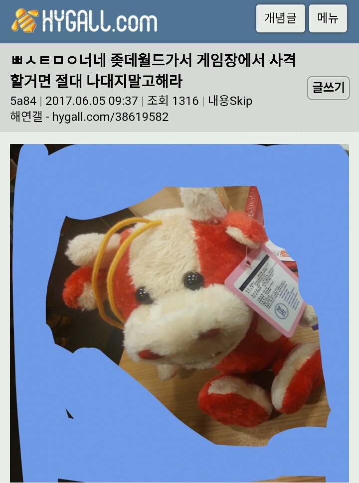 너네 롯데월드가면 사격장에서 절대 나대지말고 해.jpg | 인스티즈