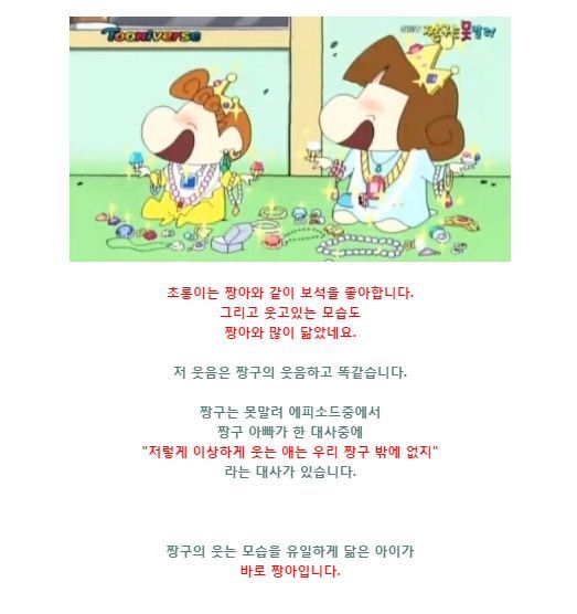 짱구는 못말려에 등장하는 미스테리의 인물 초롱이의 정체는? | 인스티즈