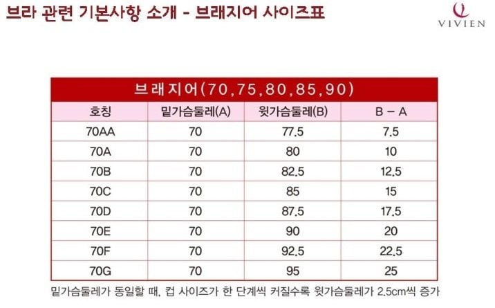 오유에서 일어난 브래지어대란 | 인스티즈