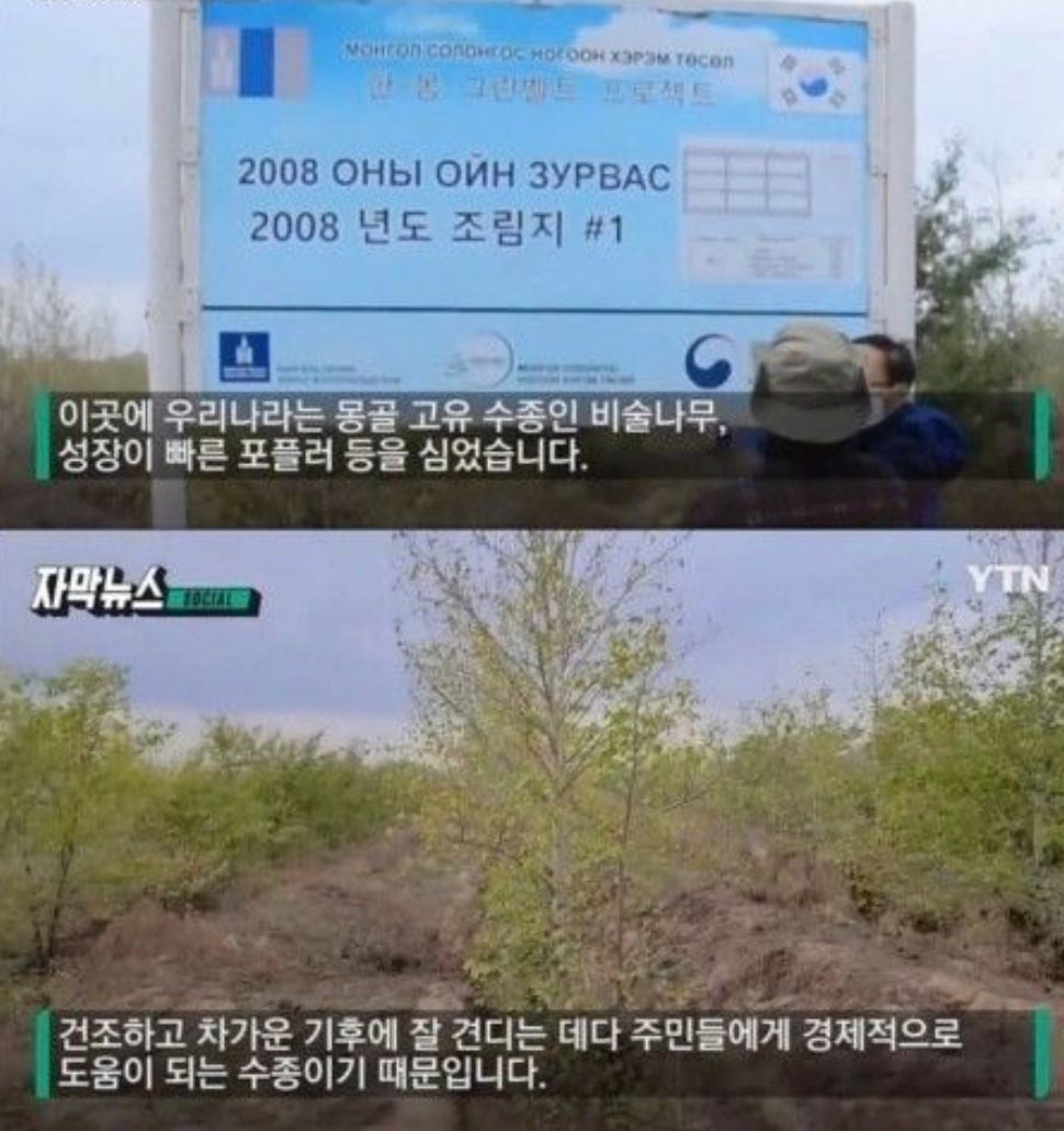 무한도전이 15년 전 몽골에 심었던 나무들 근황 | 인스티즈