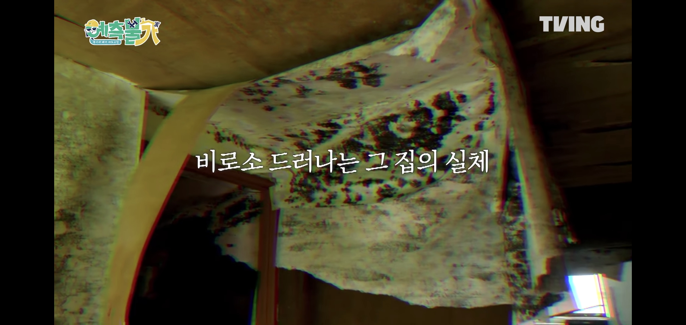 김숙의 유명한 그 제주도 폐가 재건축한다는 티빙 새 예능.jpg | 인스티즈